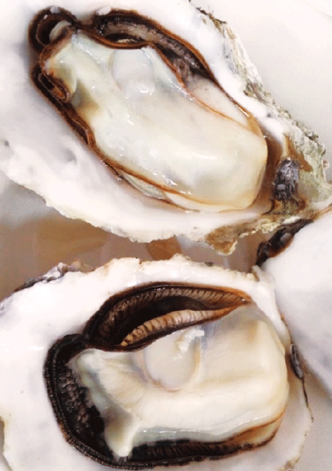 道内各地の旬を楽しむイベントです！ 数量限定なので、ぜひご予約を！