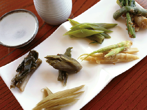 山菜の味噌漬け  864円