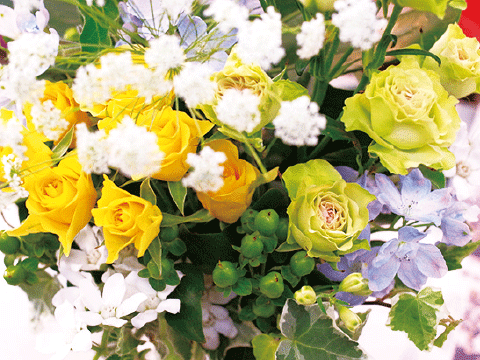 夏に向けて涼し気なアレンジで お部屋をクールダウン！