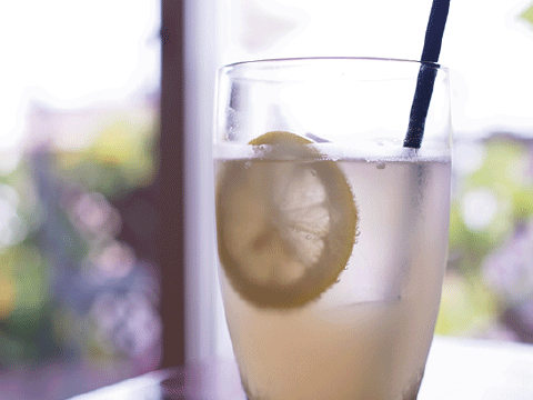 自家製ジンジャーエール     480円