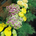 大きな会場の結婚式はもちろん、 レストランウエディング等にも対応！