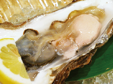 厚岸産 生牡蠣    2個1,200円