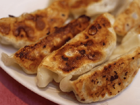 餃子（８個） 530円