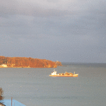 お蕎麦はもちろん、 窓からの景色も楽しめます。