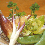 春野菜・山菜の 美味しい季節です。