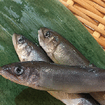 稚鮎 200円