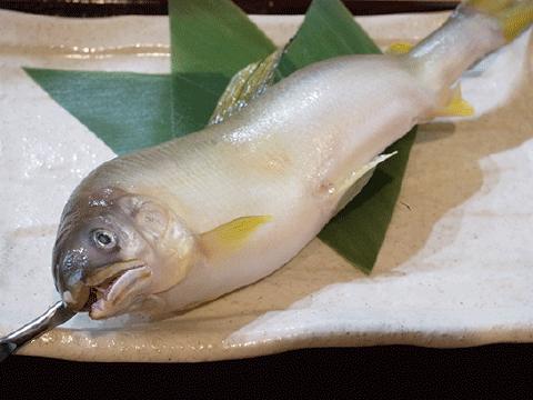 鮎(半身)    250円