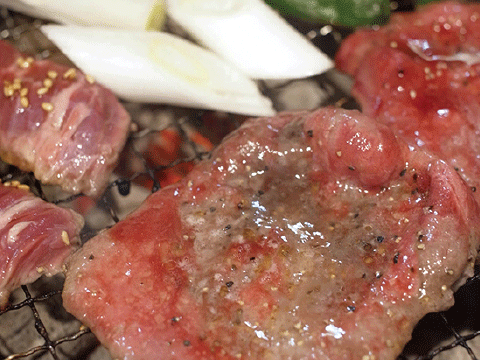 たるぽん表紙掲載記念！ たるぽん見たで１ドリンクサービス