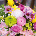 まだ２月ですが、お花屋さんは、 「春の花」で溢れています！