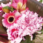 母の日のお花の贈り物  市内や近郊、道外へのお届けも可能！